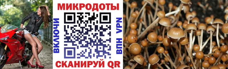 Псилоцибиновые грибы мухоморы  блэк спрут вход  Щучье  где продают  